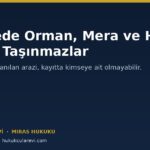 Terekede Orman, Mera ve Hazine Vasıflı Taşınmazlar: Mirasçılar Ne Yapabilir?