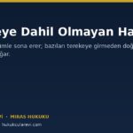 Terekeye Dahil Olmayan Haklar: Mirasçıya Geçmeyen Neler Var?