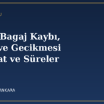 ucakta bagaj kaybi