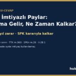 Halka arz şirketinde A grubu imtiyazlı paylar: oyda imtiyaz, on beş oy sınırı, yönetim kurulunda temsil ve beş yıl zarar kuralı