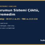 Aracı kurumun sistemi çöktü emir veremedim - VII-128.10, III-37.1 m.35