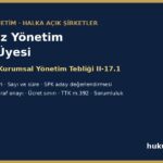 Halka açık şirkette bağımsız yönetim kurulu üyesi - SPKn m.17 ve II-17.1