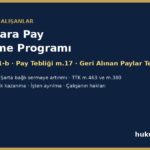 Çalışanlara pay edindirme programı ve hisse opsiyonu - SPKn m.108, Pay Tebliği m.17