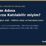 Çocuk adına halka arz: çocuk hesabı, eşit dağıtım, velinin yetkisi, 90 gün kuralı ve 18 yaşında teslim