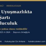 dava sarti arabuluculuk