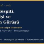delil tespiti bilirkisi