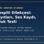 Delil tespiti talep dilekçesi örneği fon kayıtları ses kayıtları uygunluk testi HMK 400