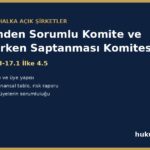 Denetimden sorumlu komite ve riskin erken saptanması komitesi - TTK m.378, II-17.1 ilke 4.5