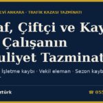 Esnaf, Çiftçi, Serbest Meslek Sahibi ve Kayıt Dışı Çalışanın Maluliyet Tazminatı 2026: Geçici ve Kalıcı Maluliyette Gelir İspatı, İşletme Kaybı, Vekil Eleman ve Emsal Gelir