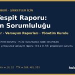 Fiyat tespit raporu: şirketin ve yönetim kurulunun sorumluluğu, projeksiyonlar ve varsayım raporları