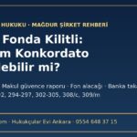 Param fonda kilitli şirketim konkordato ilan edebilir mi geçici mühlet rehberi 2026