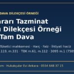 Fon zararı tazminat davası dilekçesi örneği 2026 - tam dava, asliye ticaret ve tüketici mahkemesi