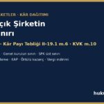 Halka açık şirketin bağış sınırı - SPKn m.19/5, Kâr Payı Tebliği m.6