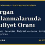 İç Organ Yaralanmalarında Maluliyet Oranı 2026: Dalak Alınması, Böbrek Kaybı, Karaciğer, Bağırsak, Akciğer, Damar Yaralanması ve Karın Fıtığı (Yönetmelik Tabloları)
