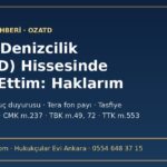 Özata Denizcilik (OZATD) hissesinde zarar eden pay sahibinin hakları: SPK suç duyurusu, Tera fon payı ve tasfiye