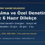 Genel kurulda bilgi alma ve özel denetim talebi dilekçesi örneği: fon yatırımı kararı için soru listesi, özel denetim önergesi, TTK m.437, m.438 ve m.439 mahkeme dilekçeleri