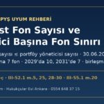 Serbest fon sayısı ve portföy yöneticisi başına fon sınırı: Rehber 1.2/c, yedi fon kuralı, 30.06.2029 ve 01.01.2031 geçişi, PYŞ uyum rehberi