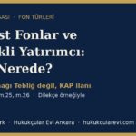 serbest fonlar nitelikli yatirimci
