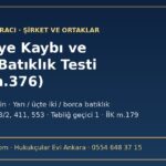 Sermaye kaybı ve borca batıklık testi TTK 376: fon zararını girerek hesaplama aracı