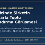 Fon krizinden etkilenen şirketin bankalarla toplu yapılandırma görüşmesi: bekleme protokolü ve finansal yeniden yapılandırma