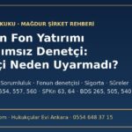 Şirketin fon yatırımı ve bağımsız denetçinin sorumluluğu: TTK m.554, m.404 ve fonun denetçisi