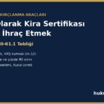 Şirket olarak kira sertifikası sukuk ihracı - III-61.1, varlık kiralama şirketi