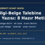 SPK bilgi-belge talebine cevap yazısı örneği: ana cevap, belge dizini, ek süre talebi, mevcut olmayan belge beyanı ve aracı kurum cevabı, SPKn m.88, m.89 ve m.90