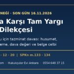 SPK'ya karşı tam yargı dava dilekçesi örneği: fon mağduru için İYUK m.12 kapsamında tazminat davası, son gün 16 Kasım 2026