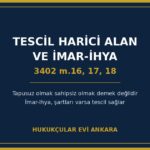 Tescil Harici Alan Nedir? Kadastro Dışı Bırakılan Yerler ve İmar-İhya ile Tescil Yolu