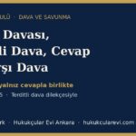 tespit terditli cevap karsi dava