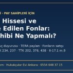 TRHOL hissesi ve tasfiye edilen fonlar: Tera Finansal Yatırımlar Holding pay sahibi ne yapmalı