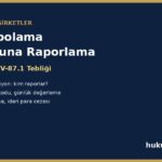 Veri depolama kuruluşuna raporlama 2026: SPKn m.87 ve IV-87.1