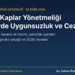 Aerosol Kaplar Yönetmeliği, ters epsilon ve sprey ürünlerde uygunsuzluk rehberi kapak görseli