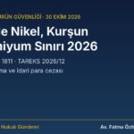 Bijuteri ve takıda nikel salımı, kurşun ve kadmiyum sınırı rehberi kapak görseli
