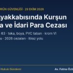Çocuk ayakkabısında kurşun, KKDİK Ek-17 giriş 63, ayakkabı toplatma kararı ve 2026 idari para cezası rehberi kapağı