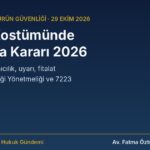 Çocuk kostümü ve saç aksesuarında toplatma kararı, yanıcılık, uyarı ve fitalat rehberi kapak görseli