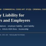 Company liability for managers and employees in Turkey: civil attribution, joint liability and measures against legal persons