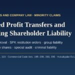 Concealed profit transfers and controlling shareholder liability in Turkish listed companies