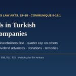 Dividends in Turkish listed companies: profit distribution policy, Communiqué II-19.1 and minority shareholder remedies