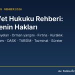 Doğal afet hukuku rehberi: afetzedenin hakları, devlet yardımı, DASK ve tazminat