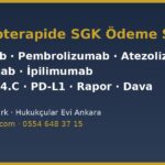 İmmünoterapi ilaçlarında SGK ödeme şartları: nivolumab, pembrolizumab, atezolizumab, durvalumab ve ipilimumab için SUT 4.2.14.C, PD-L1 eşikleri, rapor ve dava