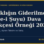 Ortaklığın Giderilmesi (İzale-i Şuyu) Dava Dilekçesi Örneği 2026 — Arabuluculuk, Aynen Taksim ve Satış