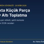 Oyuncakta küçük parça ve boğulma riski: 36 ay altı oyuncak toplatma, TS EN 71-1 testi ve itiraz rehberi kapağı