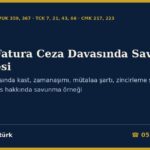 Sahte Fatura Ceza Davasında Savunma Dilekçesi Örneği 2026: VUK 359 Davasında Kast, Zamanaşımı, Mütalaa Şartı, Zincirleme Suç ve Etkin Pişmanlık — Esas Hakkında Savunma (TCK m.7, 21, 43, 66; CMK m.217, 223)