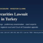 How a securities lawsuit proceeds in Turkey: stages, court experts, costs and appeals