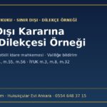 Sınır dışı kararına itiraz dilekçesi örneği — 6458 m.53-55