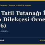 Yapı Tatil Tutanağı İptal Dava Dilekçesi Örneği (2026) — İmar m.32 ve 60 Gün